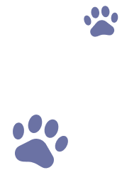 img-remember-slide-home-pat2