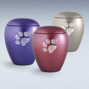 Impressions Paw Print Urn.